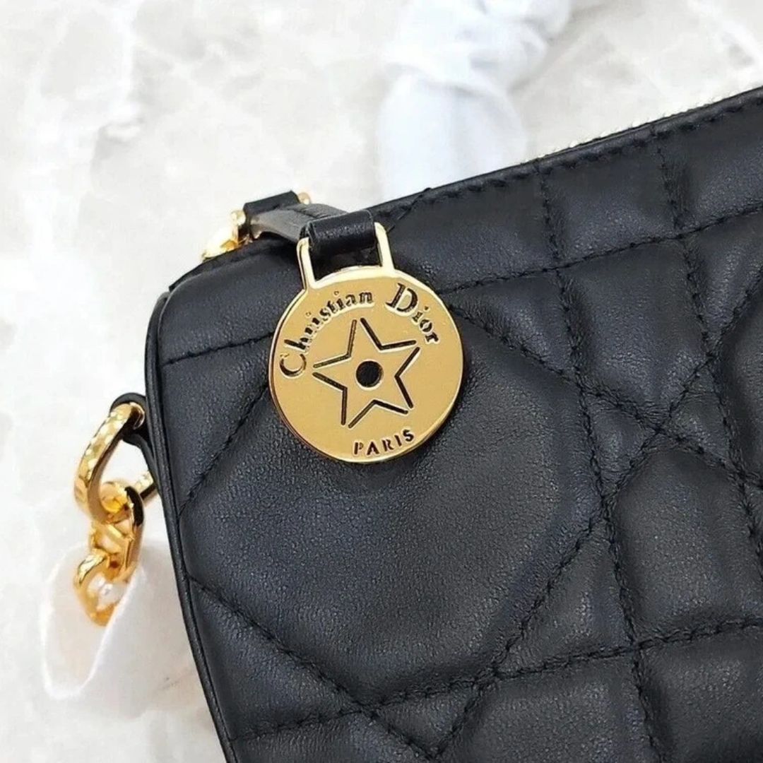 Sac Dior Wallet on Chain
