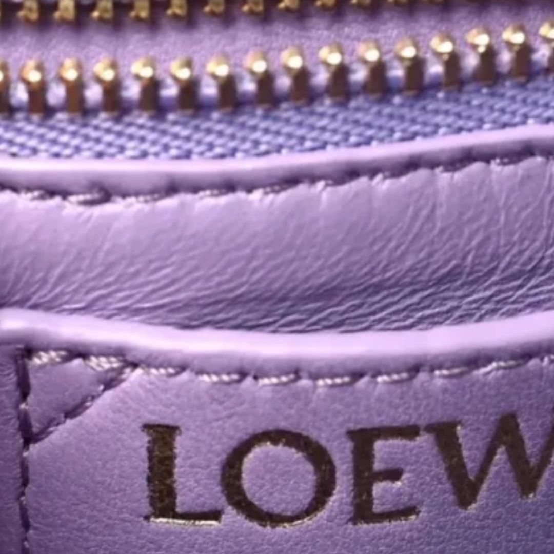 Sac Loewe Goya