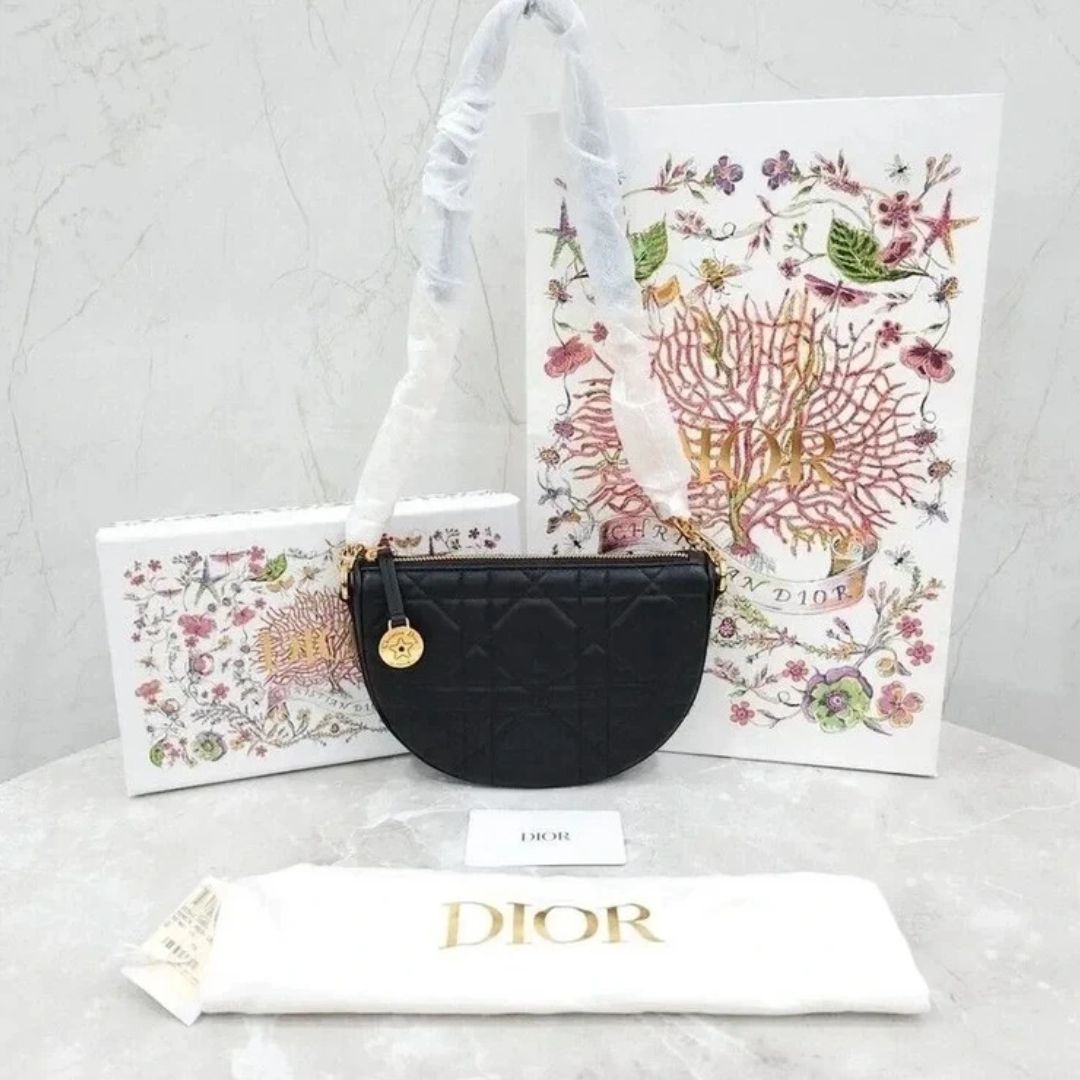 Sac Dior Wallet on Chain